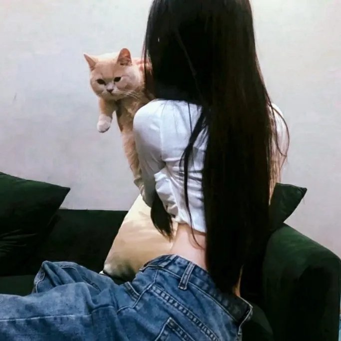 狗尾巴草也是花 封面