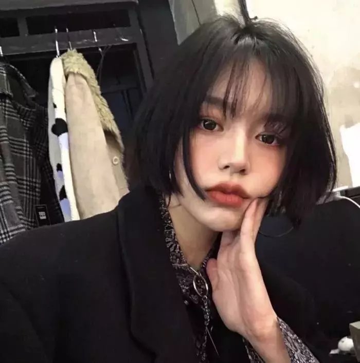腊肠狗 封面
